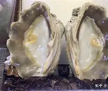 江南娱乐网站 -HA?岁*9?棷 