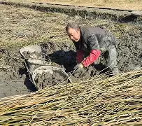 希沃ho8ea 希沃ho8ea